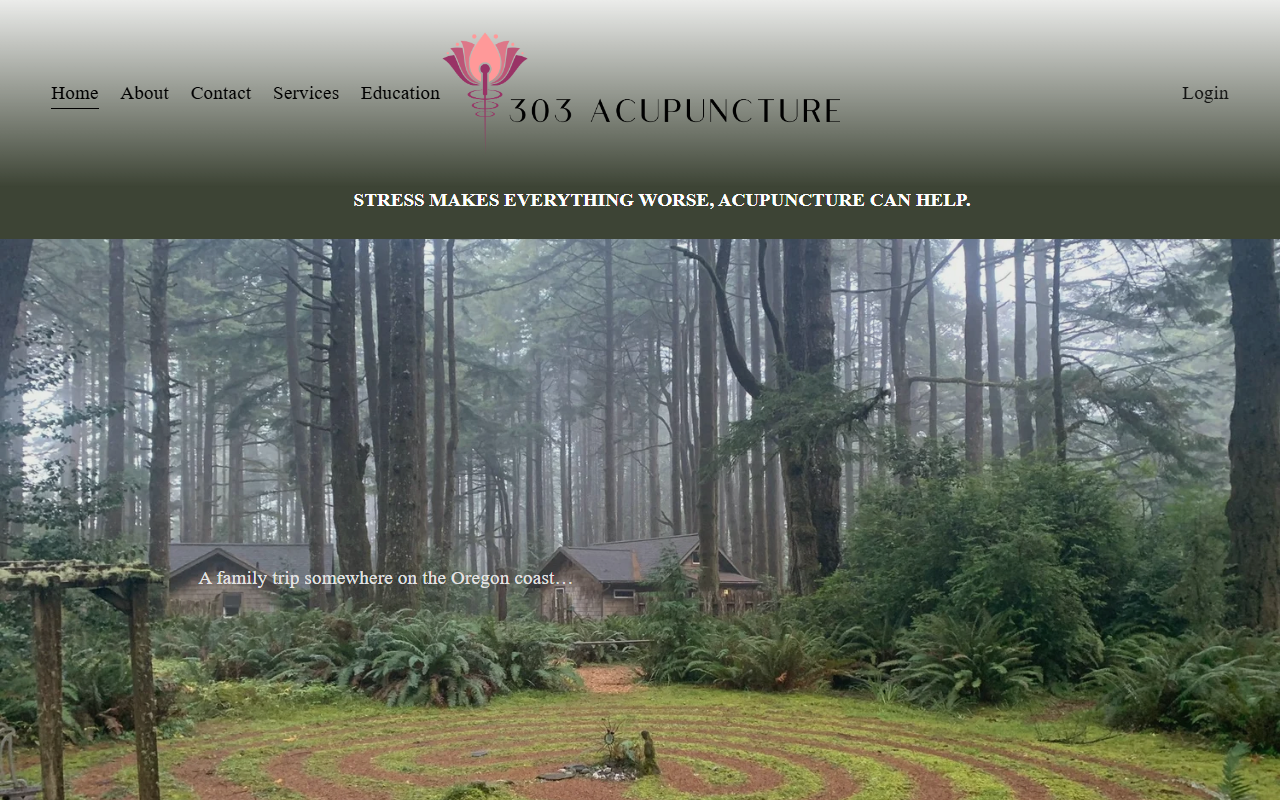 303acupuncture.com screenshot