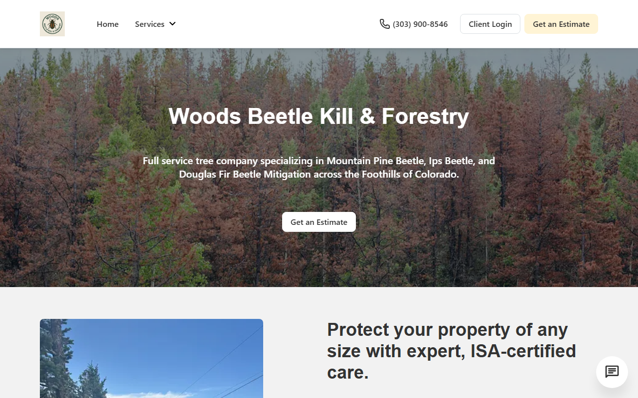 303beetles.com screenshot