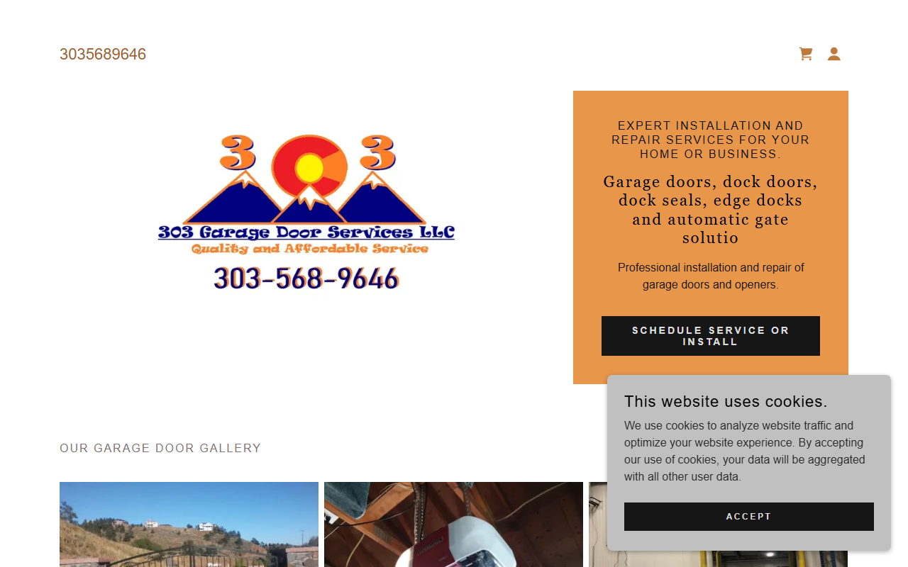 303garagedoors.com screenshot