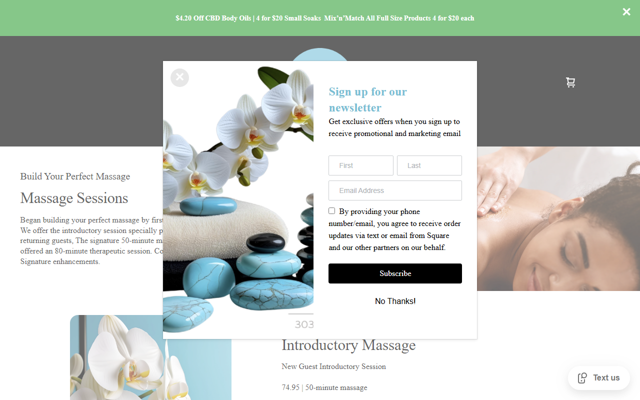 303mobilemassage.com screenshot
