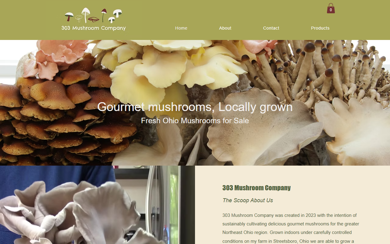 303mushroomco.com screenshot