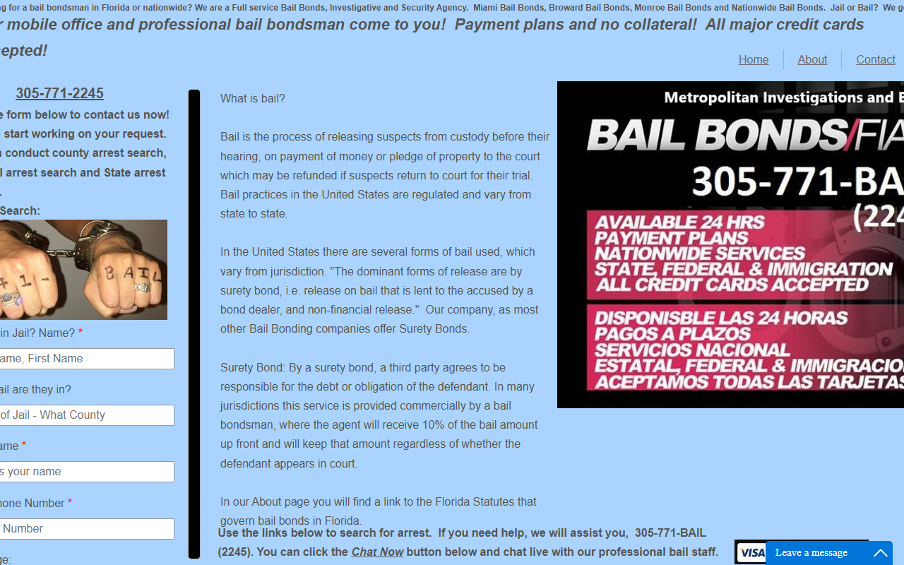 305-771-bail.com screenshot