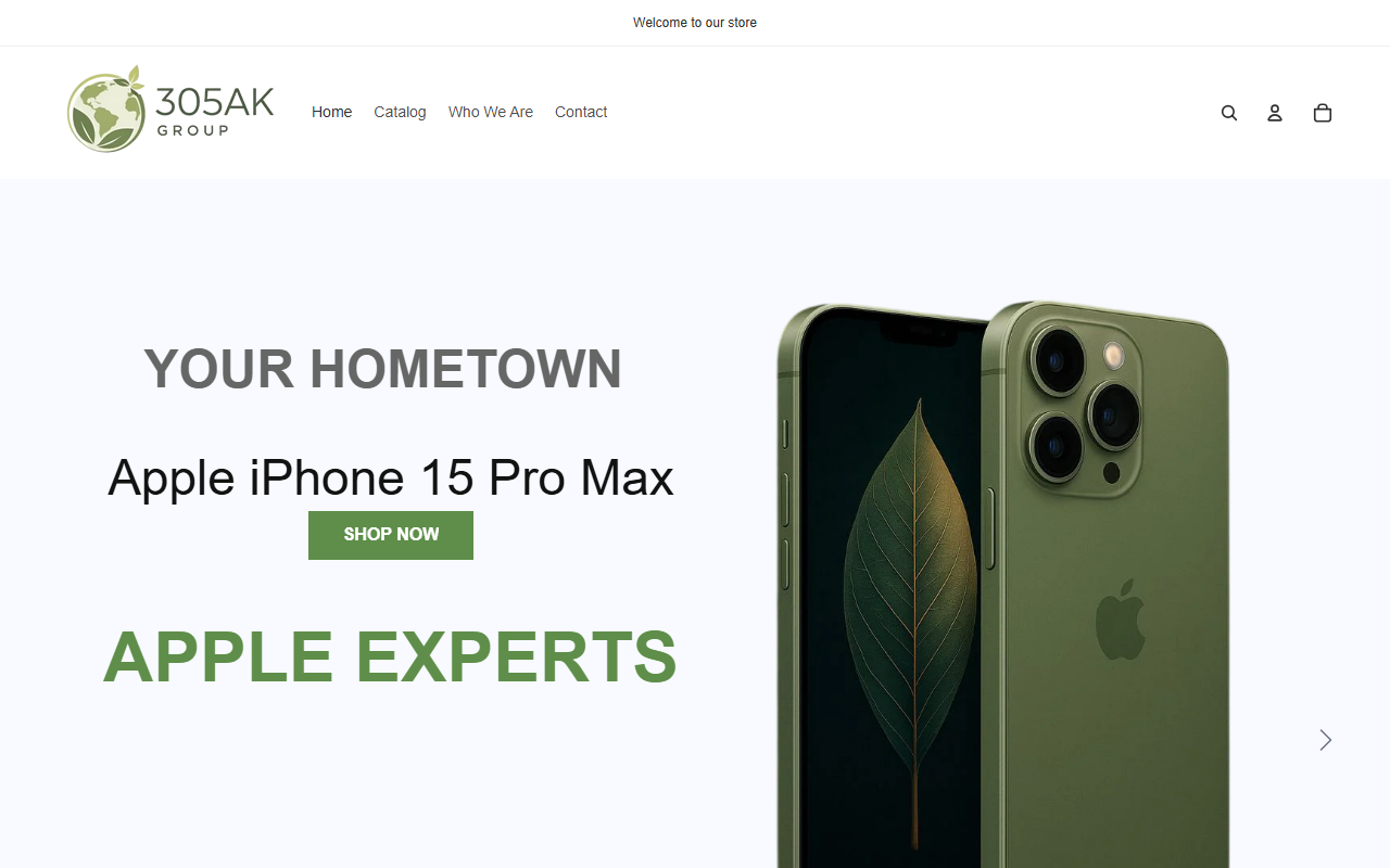 305akgroup.com screenshot