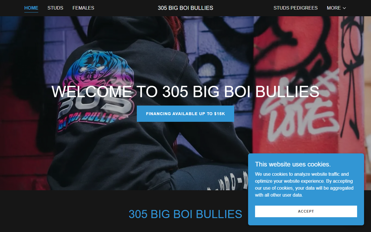 305bigboibullies.com screenshot