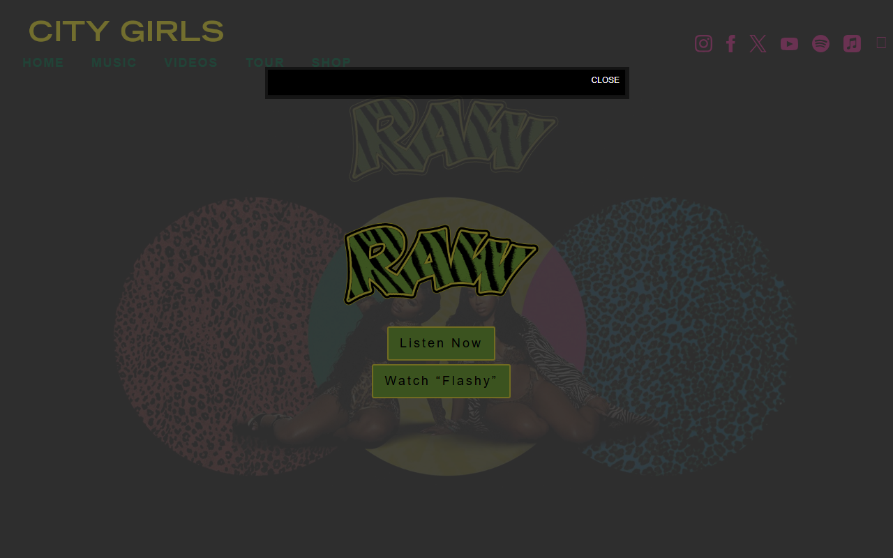 305citygirls.com screenshot