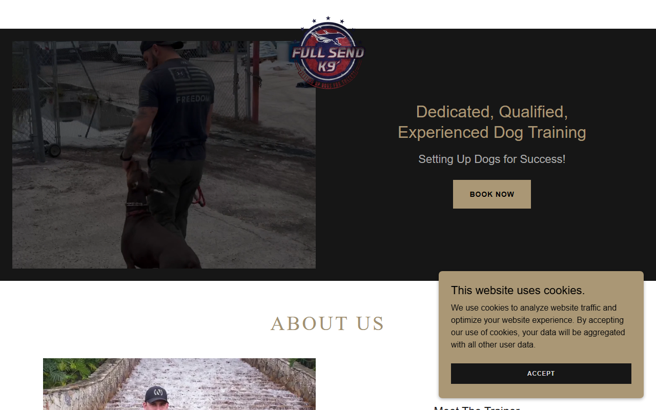 305dogtrainer.com screenshot