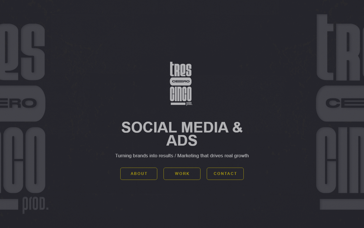 305prodagency.com screenshot