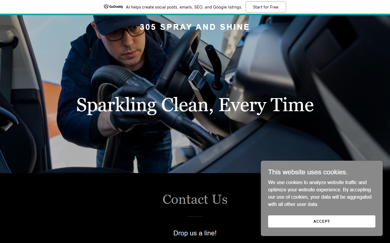 305sprayandshine.com screenshot