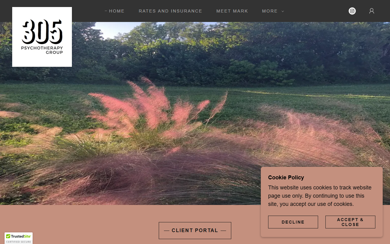 305therapy.com screenshot