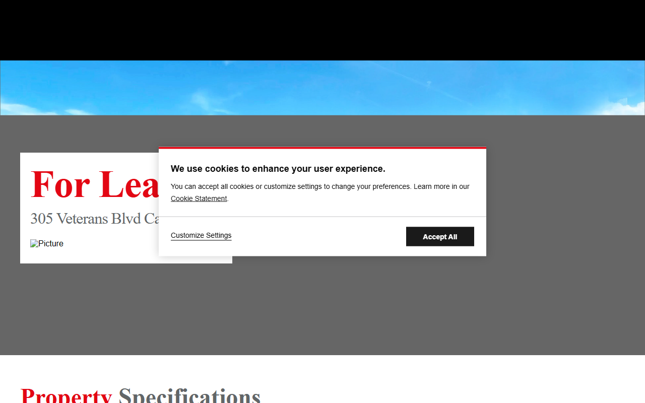305veteransblvd.com screenshot