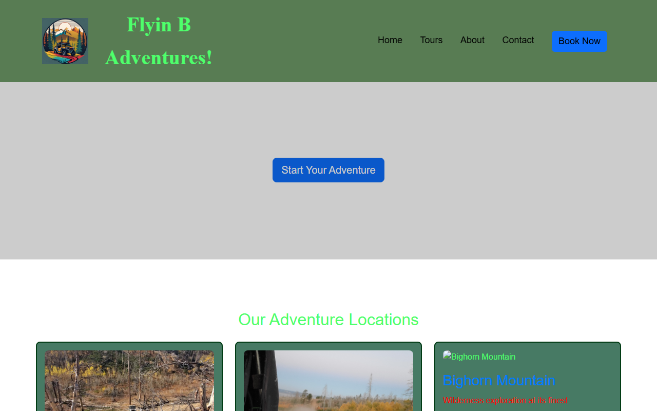 307adventures.com screenshot