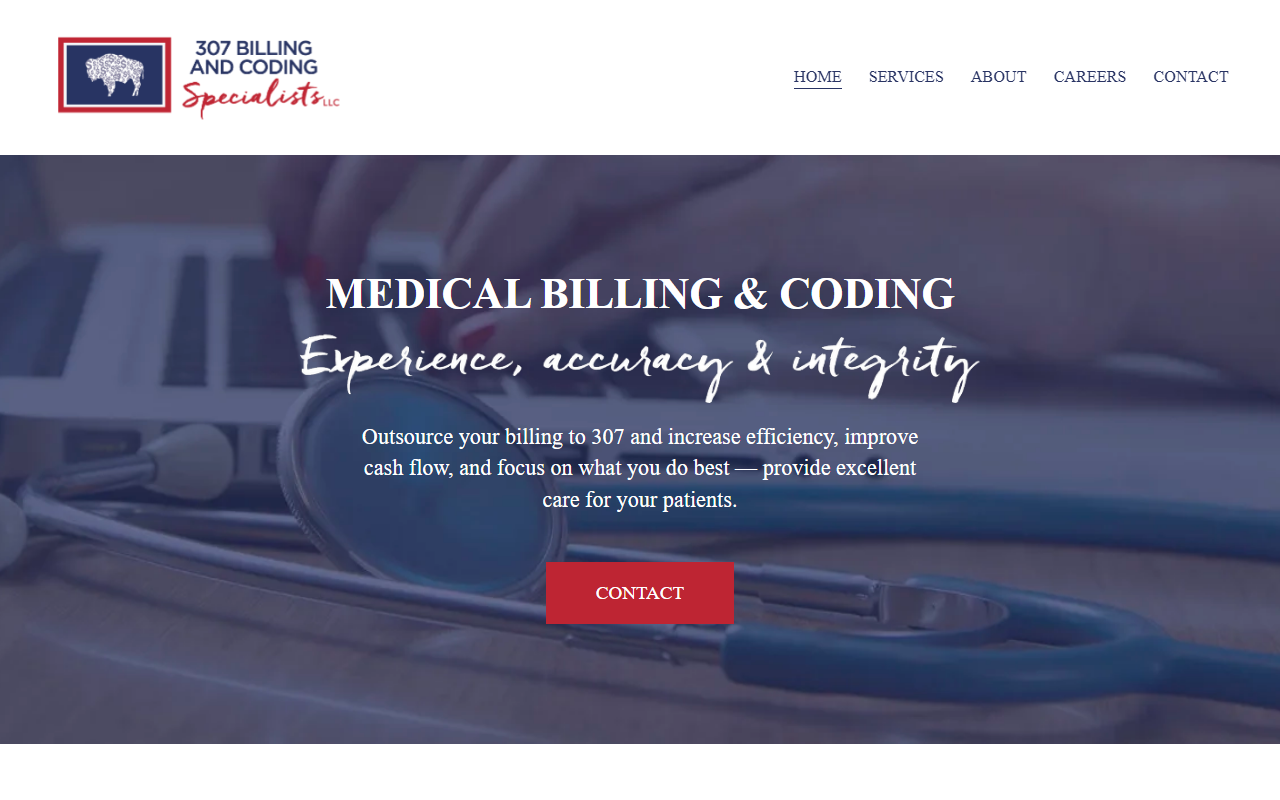 307billing.com screenshot