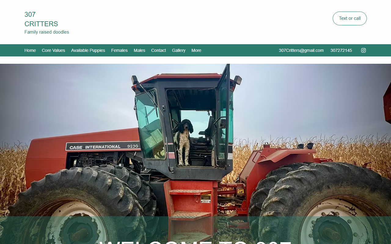 307critters.com screenshot