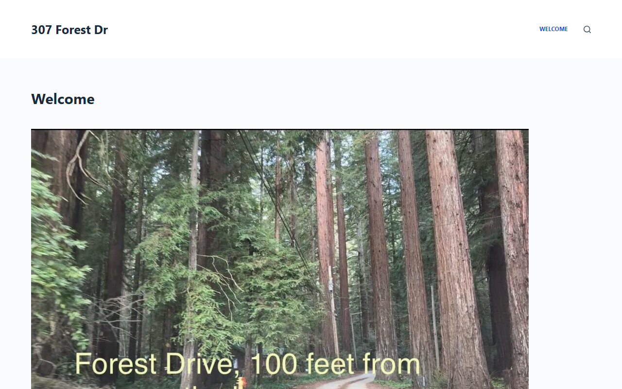 307forestdrive.com screenshot