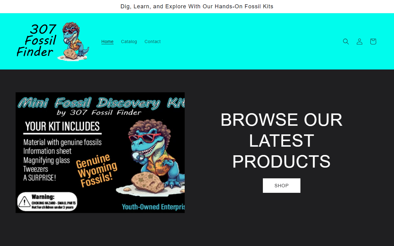 307fossilfinder.com screenshot
