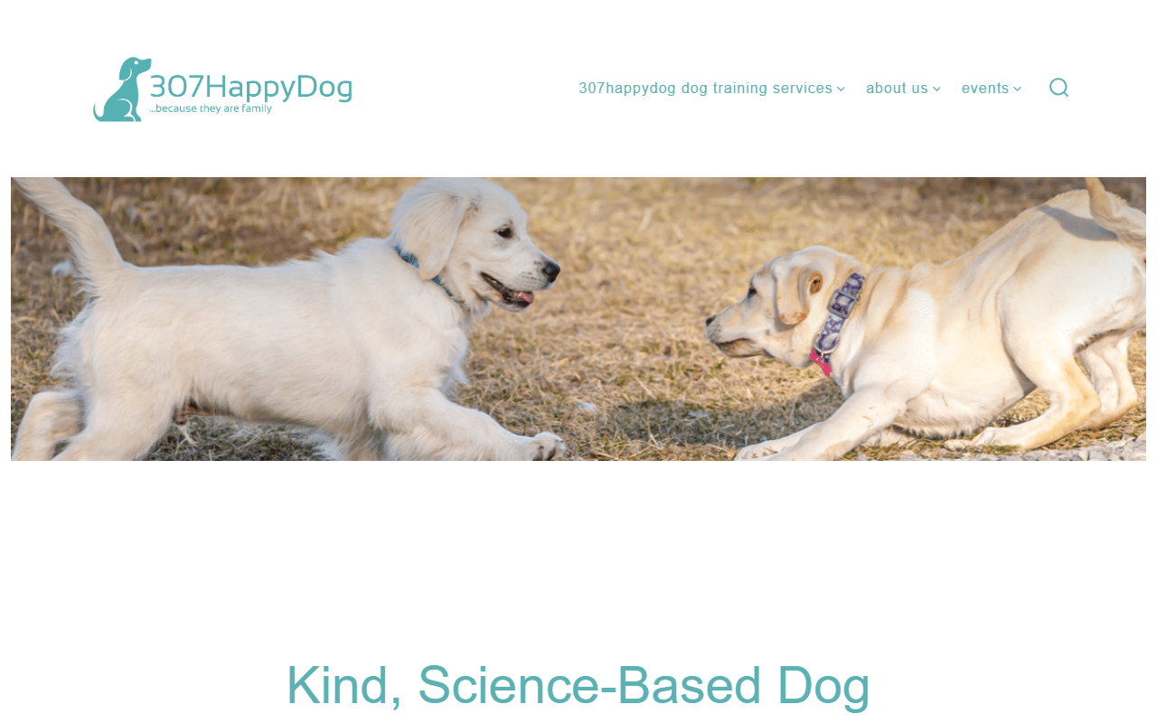 307happydog.com screenshot