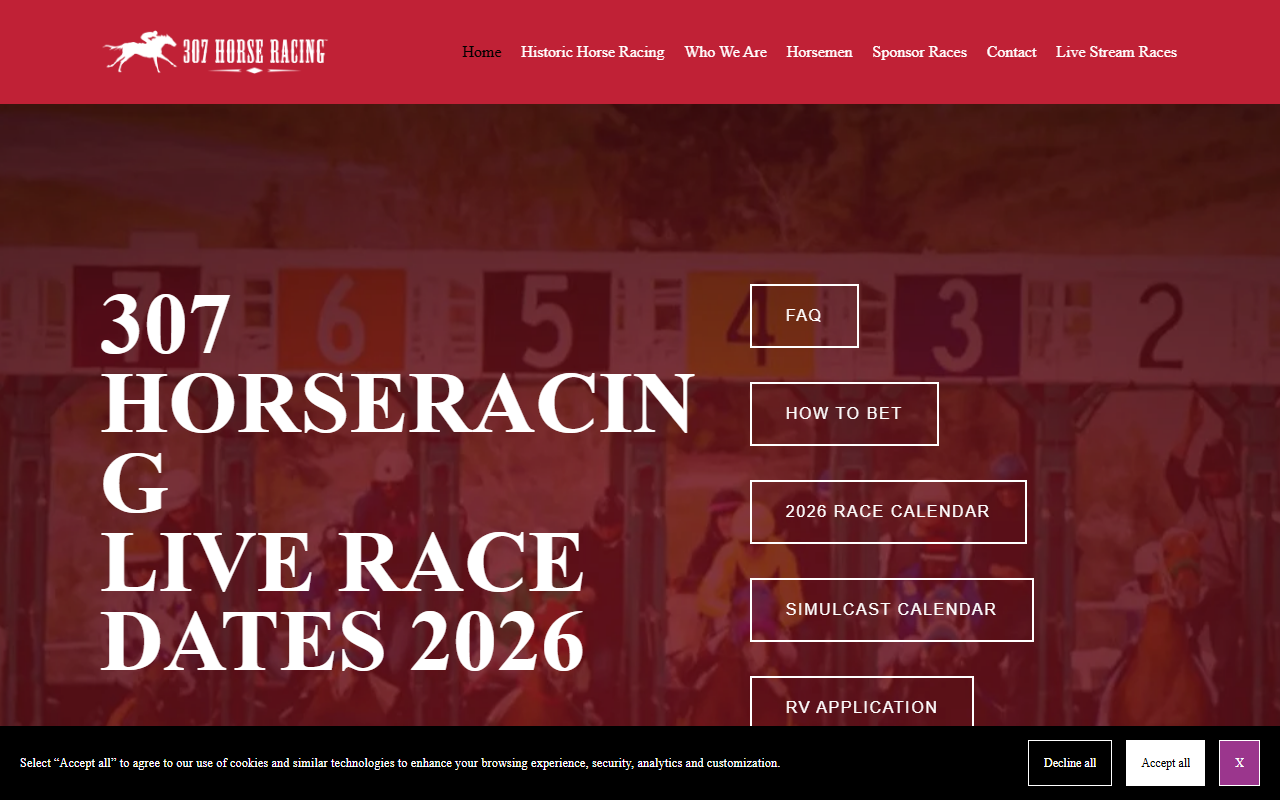 307horseracing.com screenshot