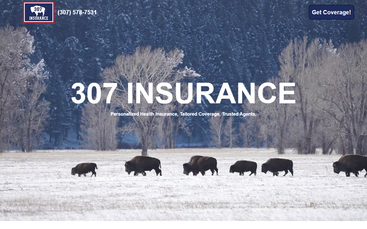 307insgroup.com screenshot