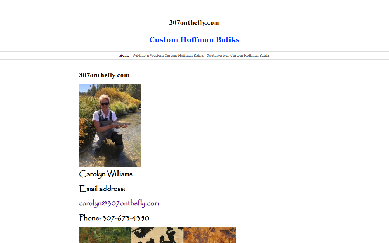 307onthefly.com screenshot