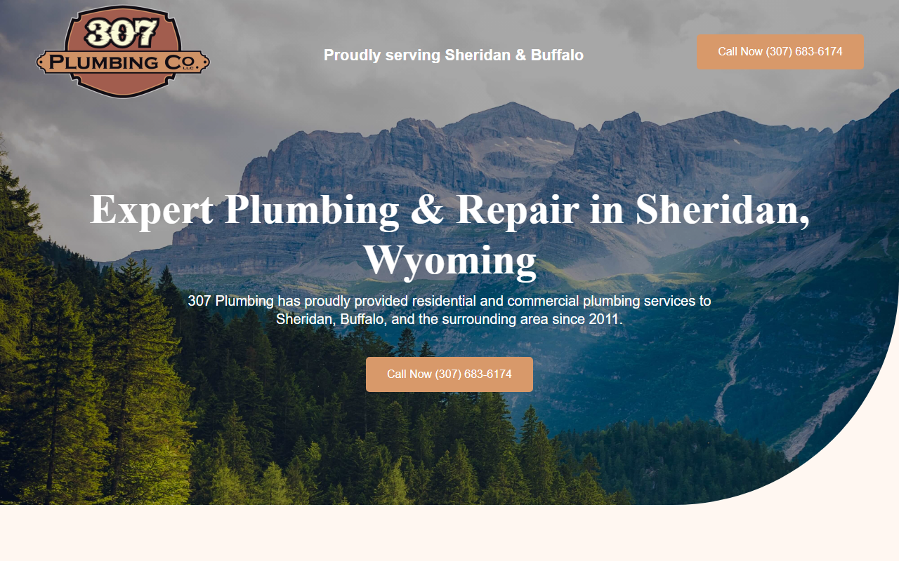 307plumbing.com screenshot