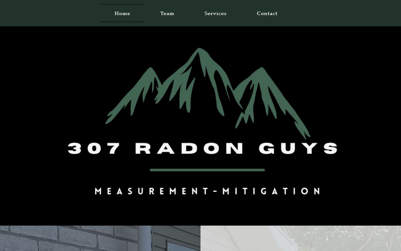 307radonguys.com screenshot