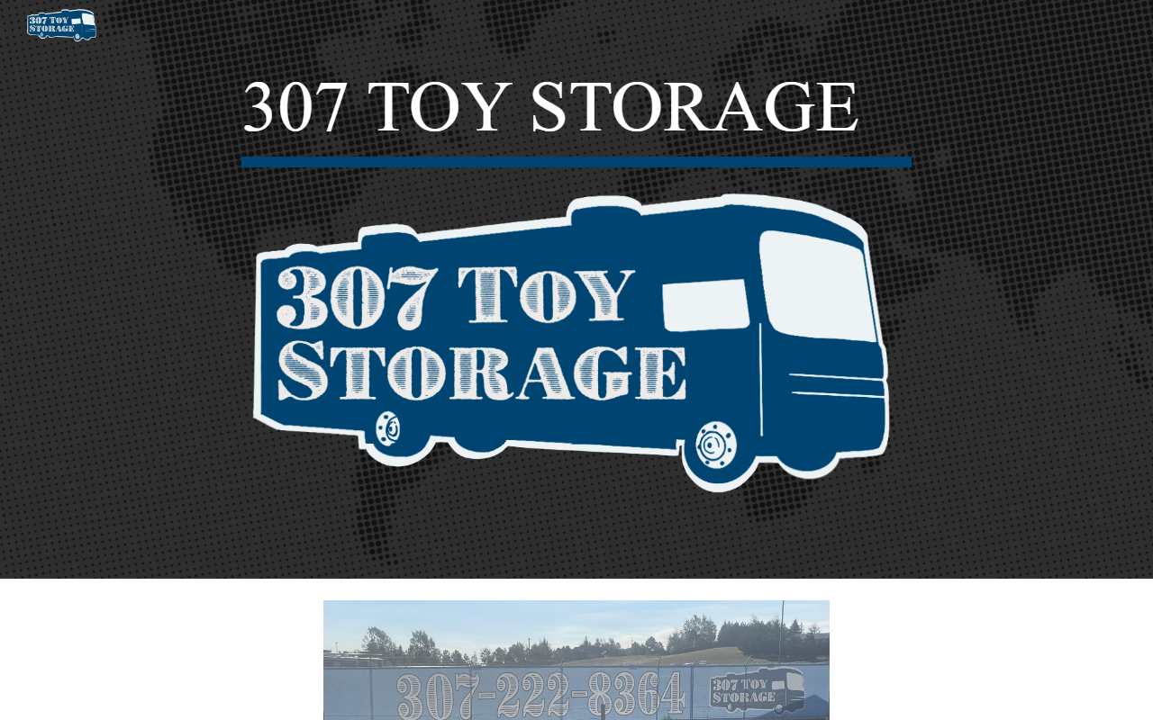 307toystoragewyo.com screenshot