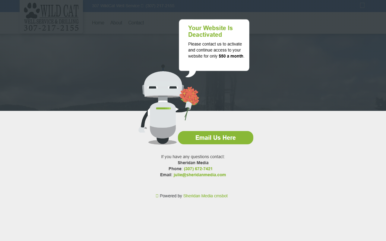 307wildcat.com screenshot