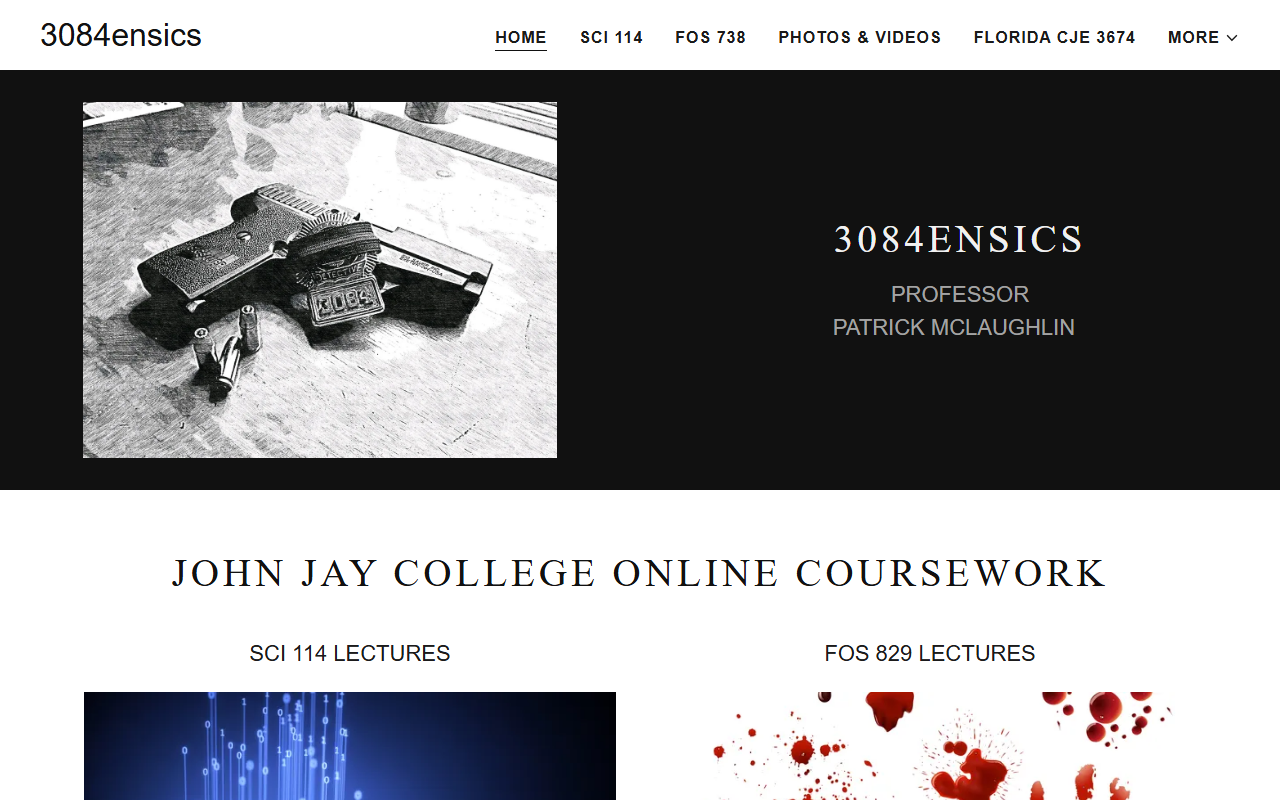 3084ensics.com screenshot