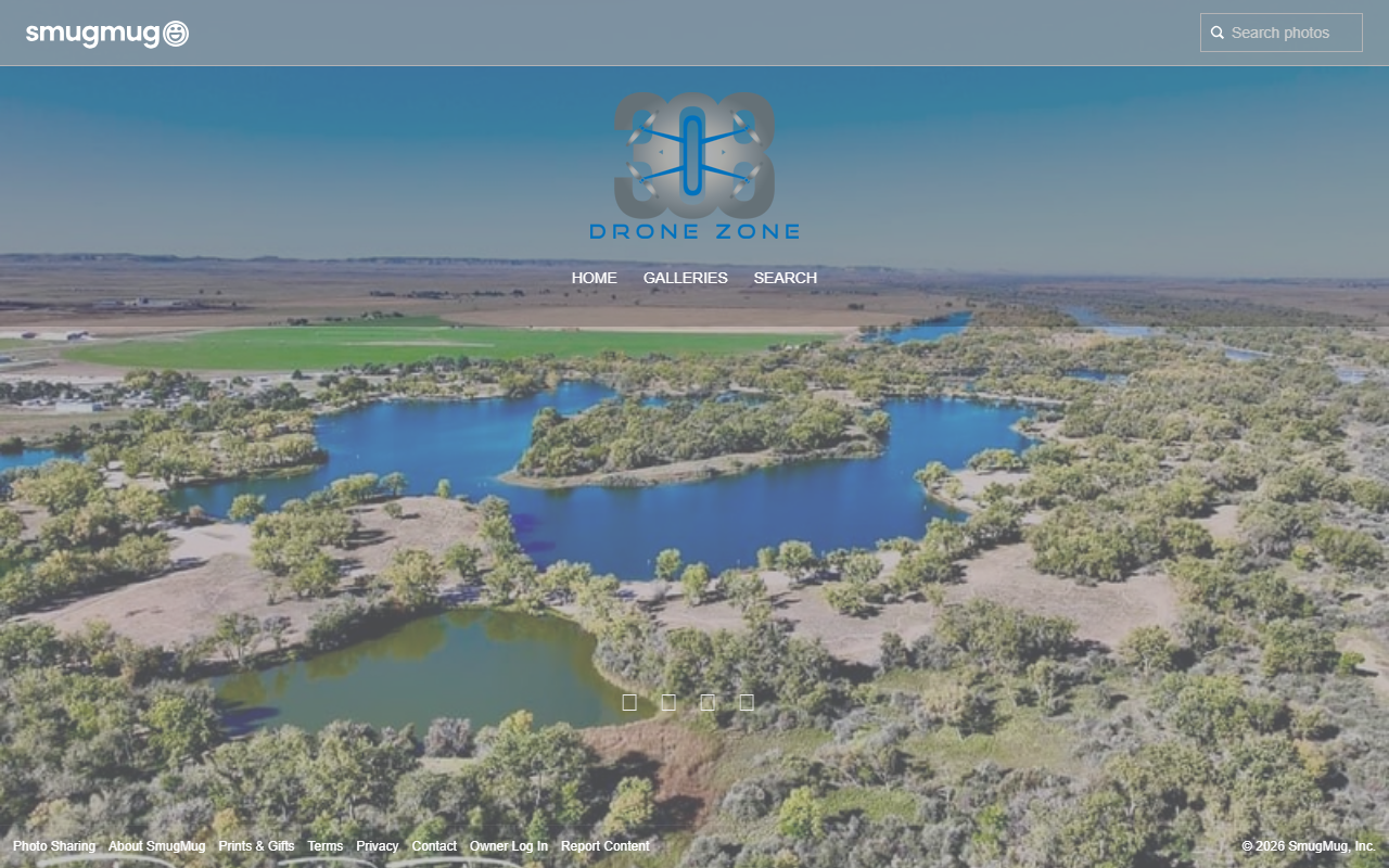 308dronezone.com screenshot