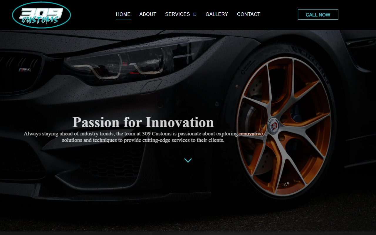 309customs.com screenshot