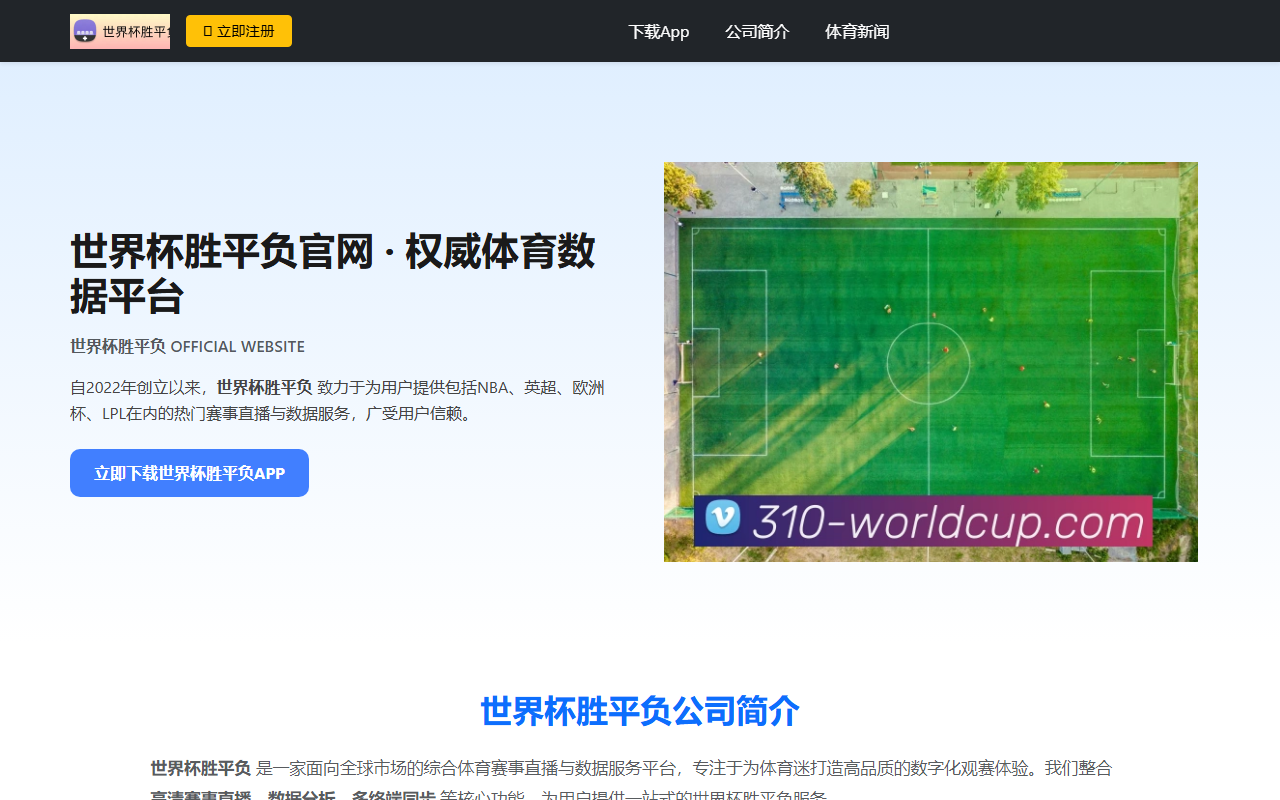 310-worldcup.com screenshot