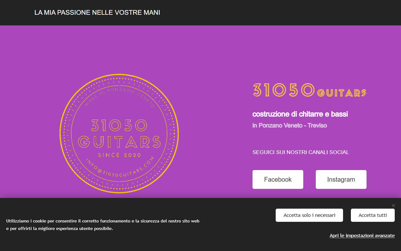 31050guitars.com screenshot