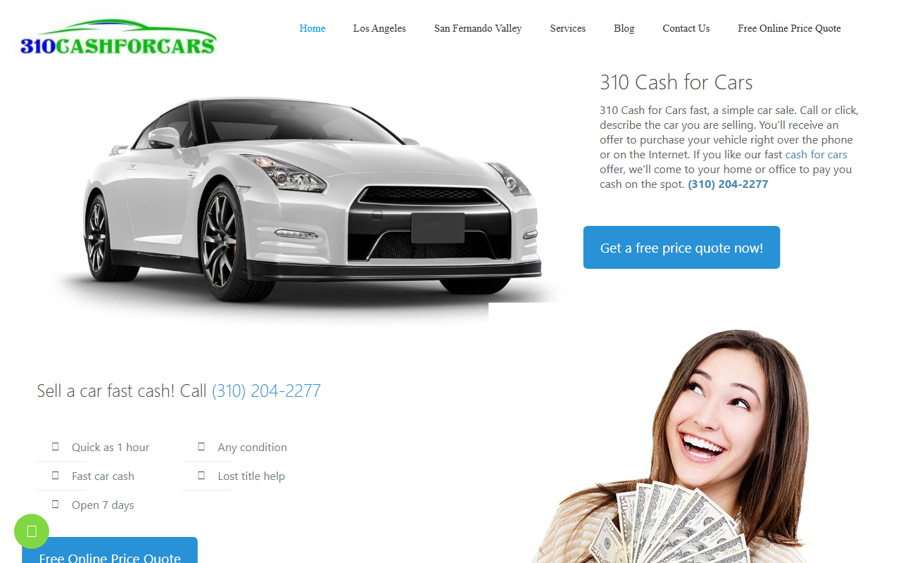 310cashforcars.com screenshot