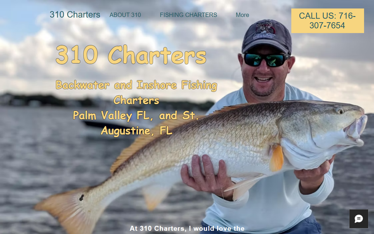 310charters.com screenshot