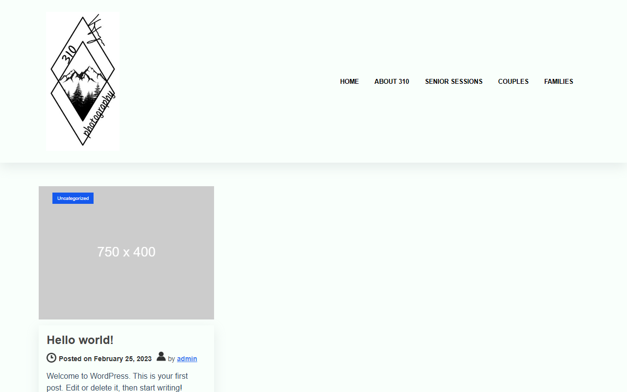 310photography.com screenshot