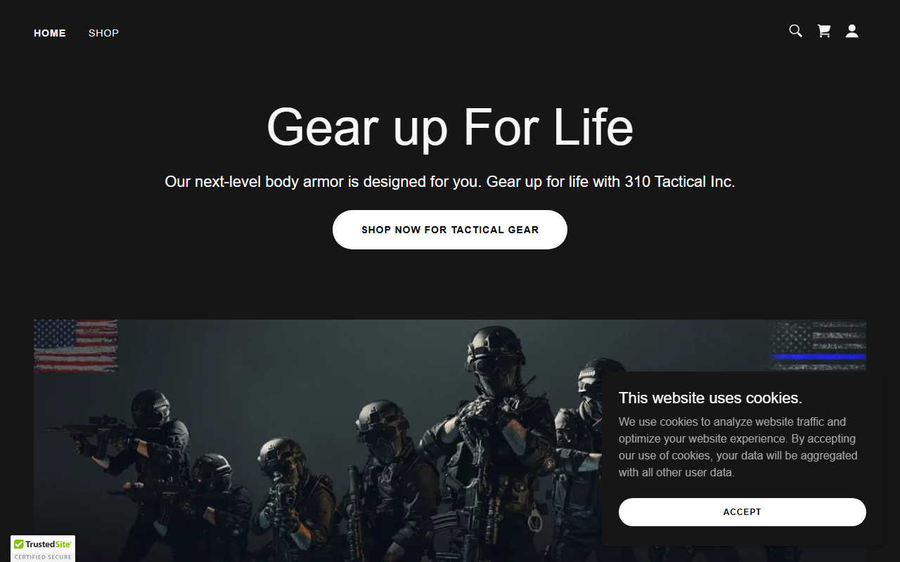 310tactical.com screenshot