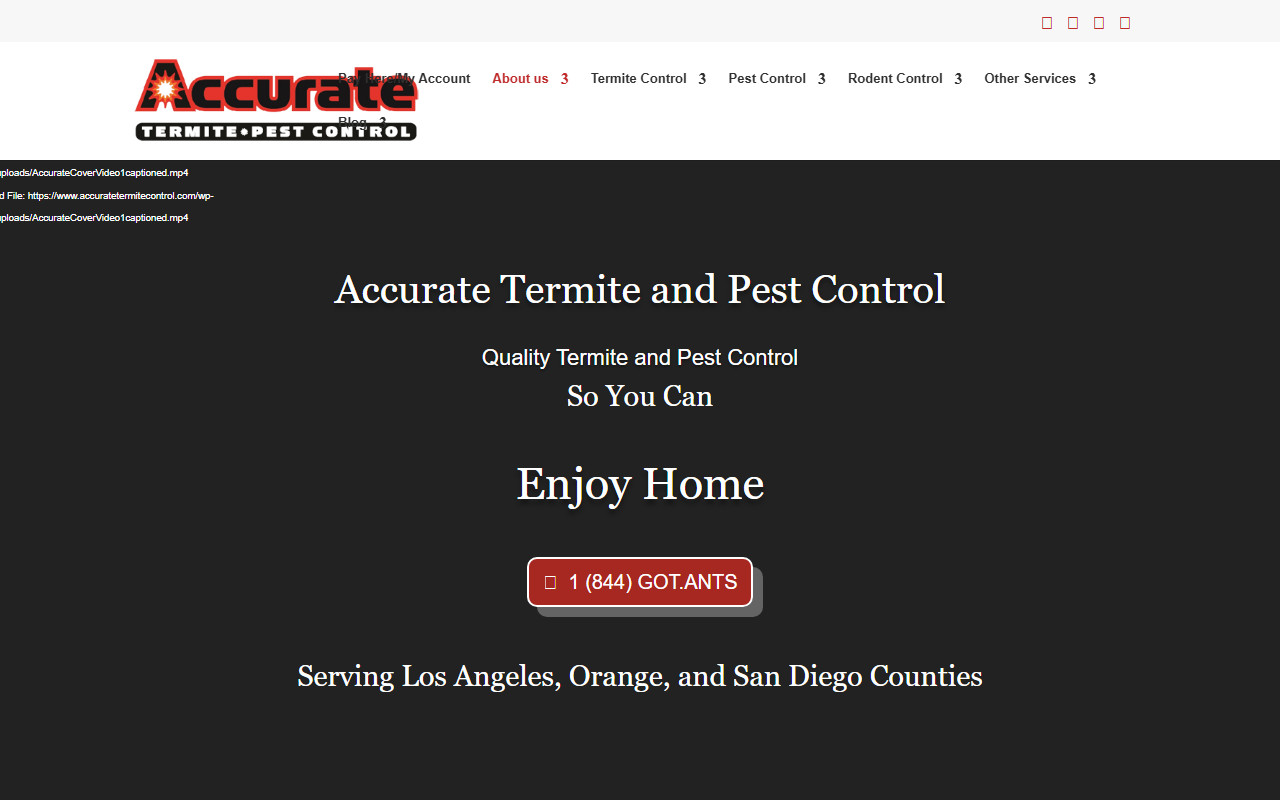 310termite.com screenshot