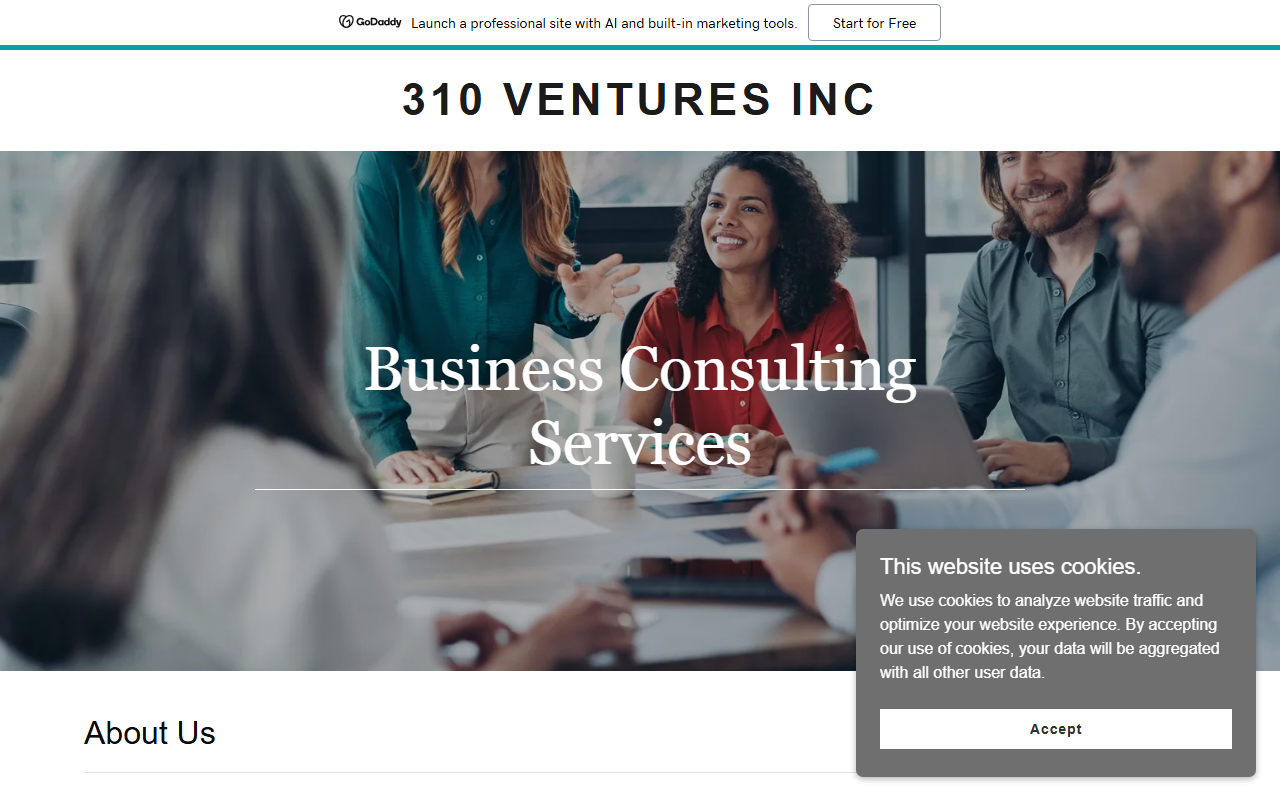 310venturesinc.com screenshot