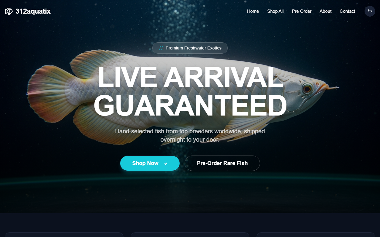312aquatix.com screenshot