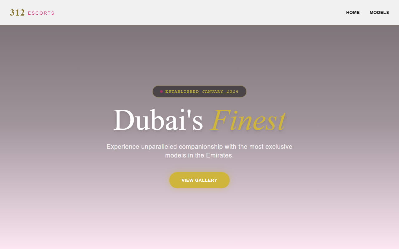 312escorts.com screenshot
