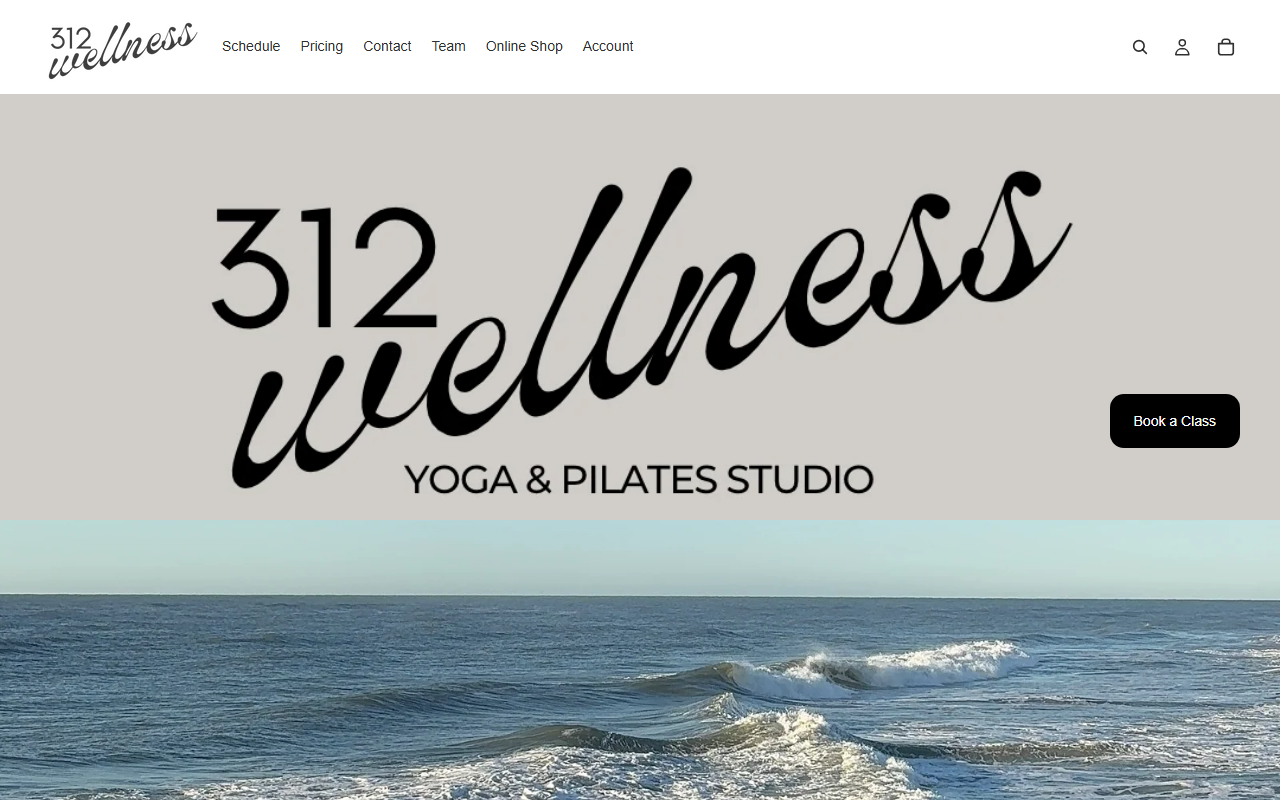 312wellness.com screenshot