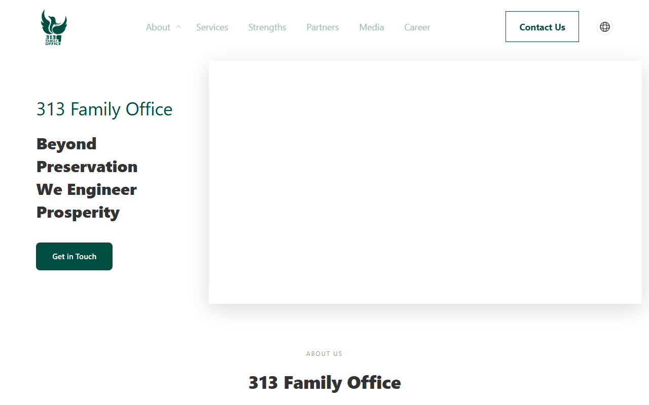 313-familyoffice.com screenshot