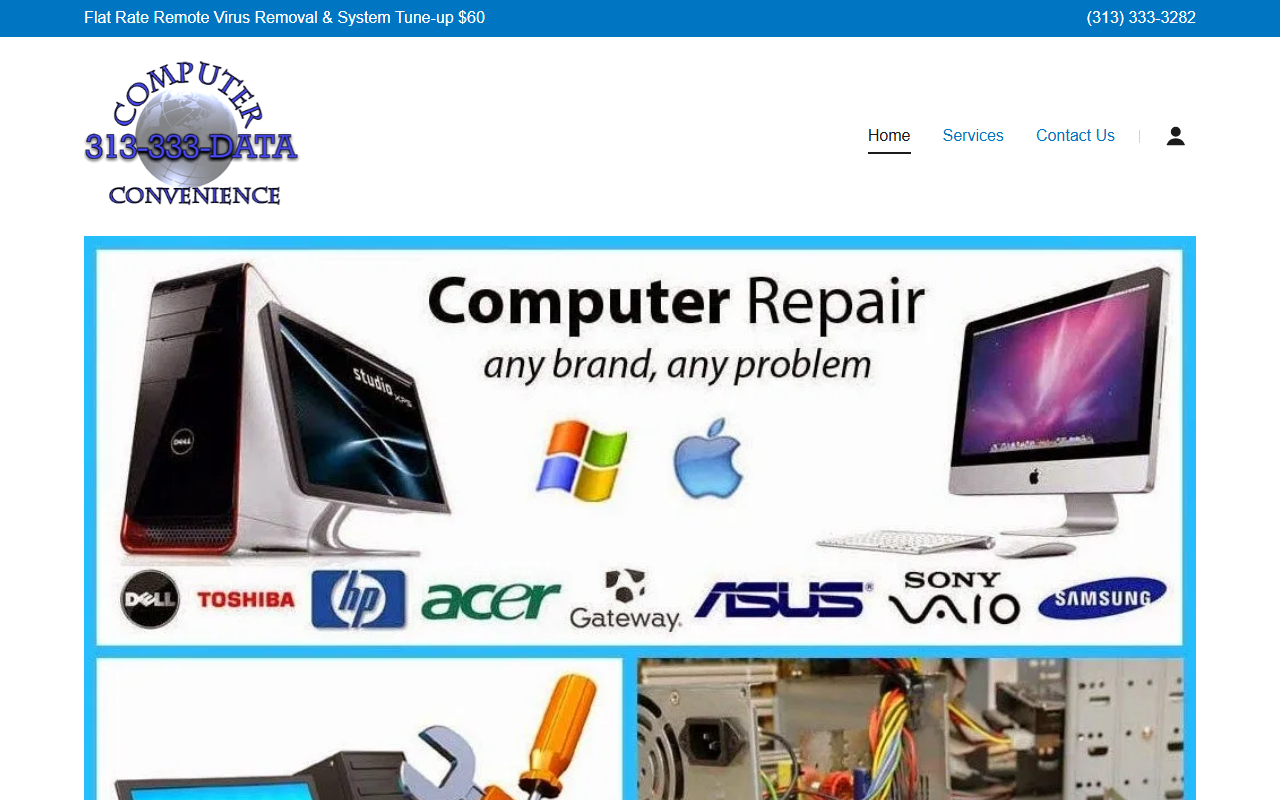 313333data.com screenshot