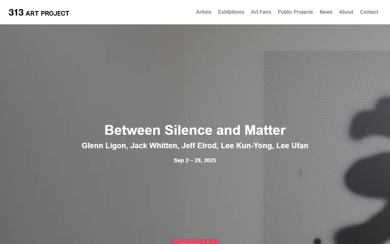 313artproject.com screenshot