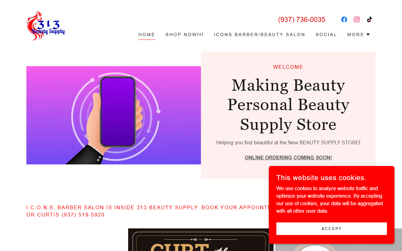 313beautysupply.com screenshot
