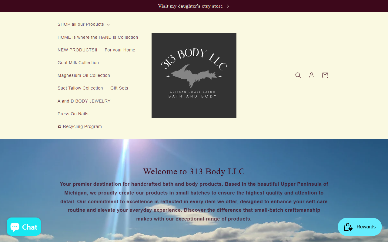 313bodyllc.com screenshot