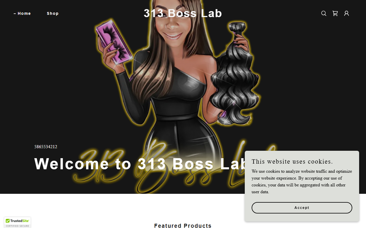 313bosslab.com screenshot