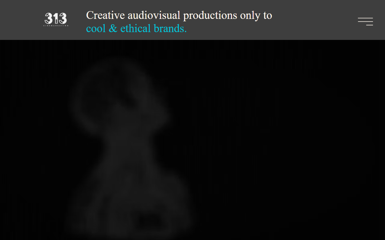 313cinemarketing.com screenshot