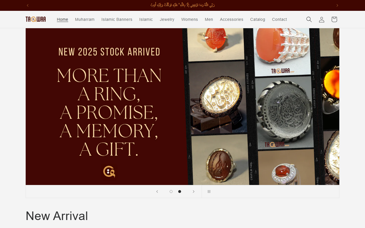 313collection.com screenshot