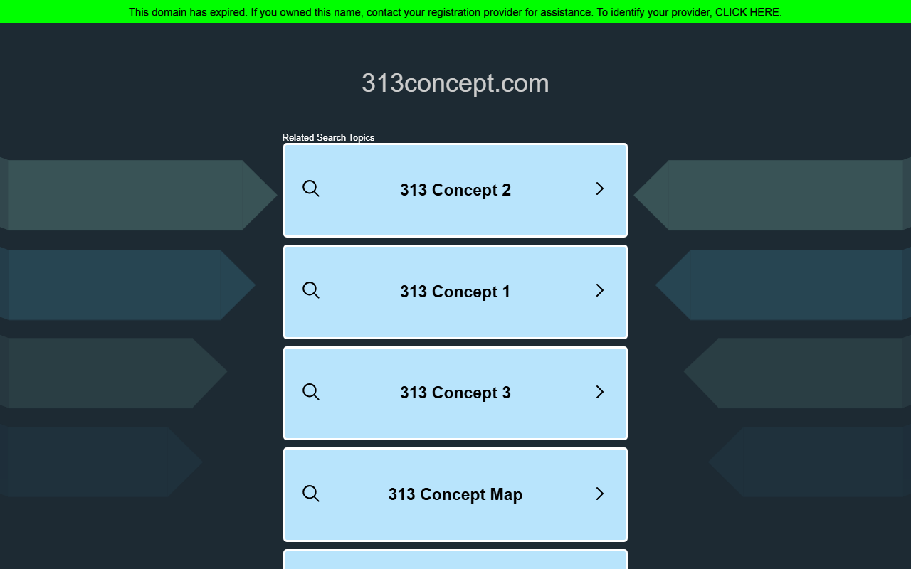 313concept.com screenshot